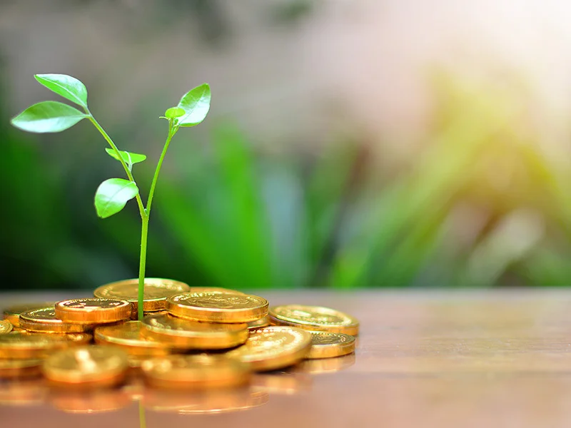 Protect What Matters - Mutual Funds